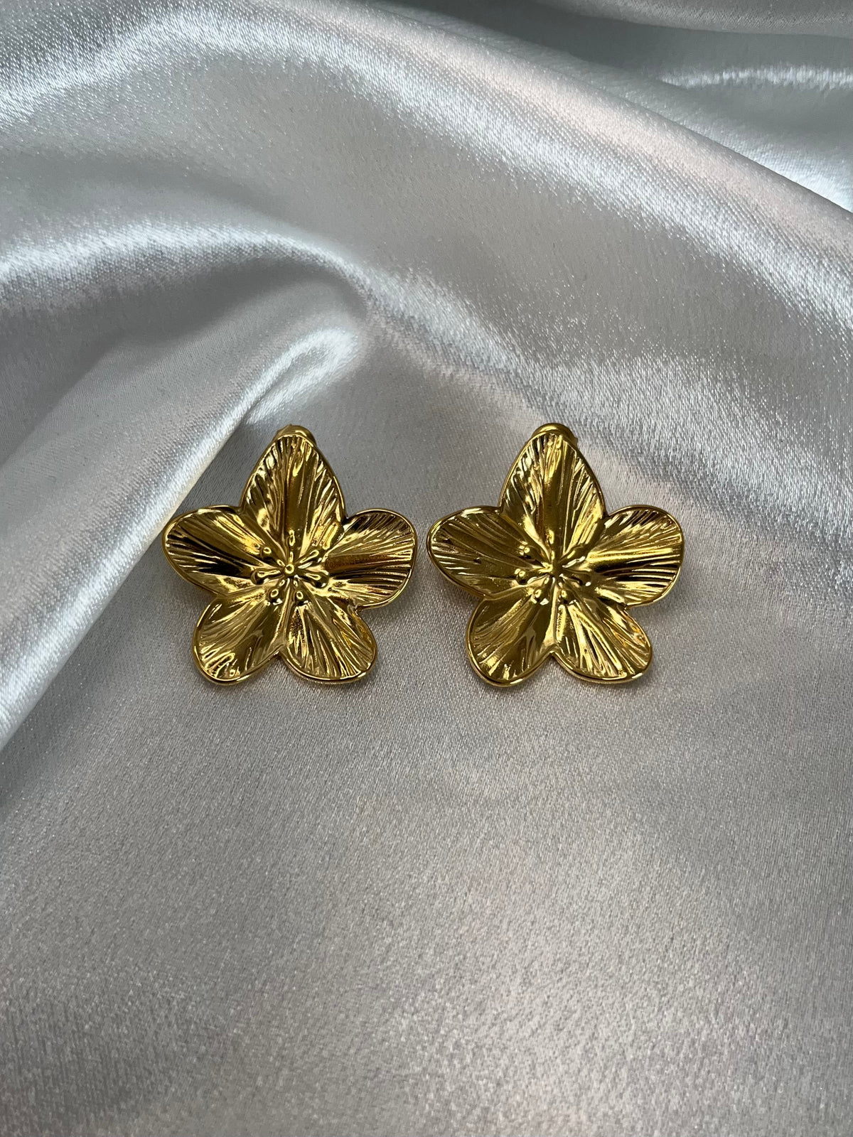 Boucles d’oreilles ROXY