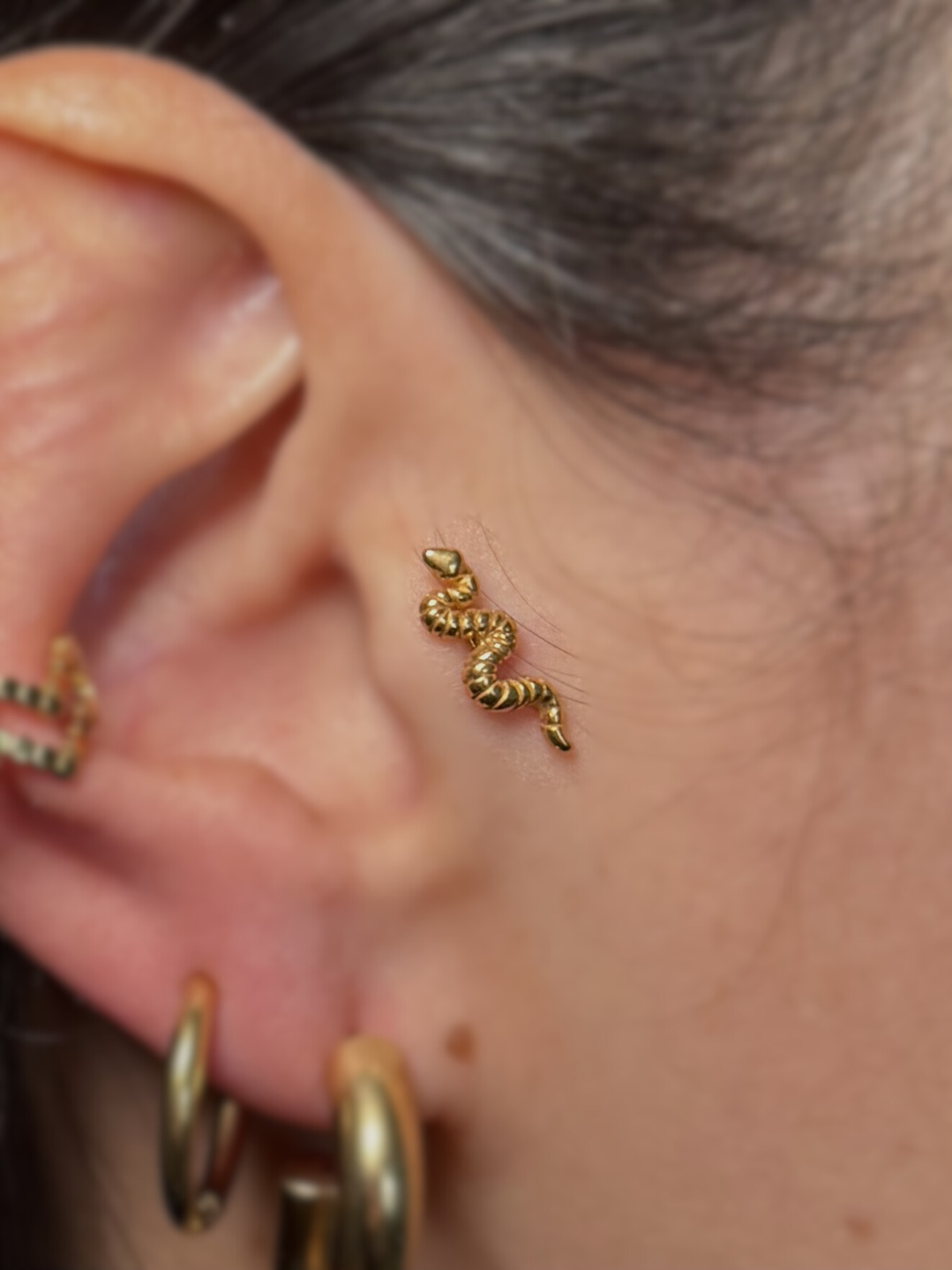 Piercing Snake